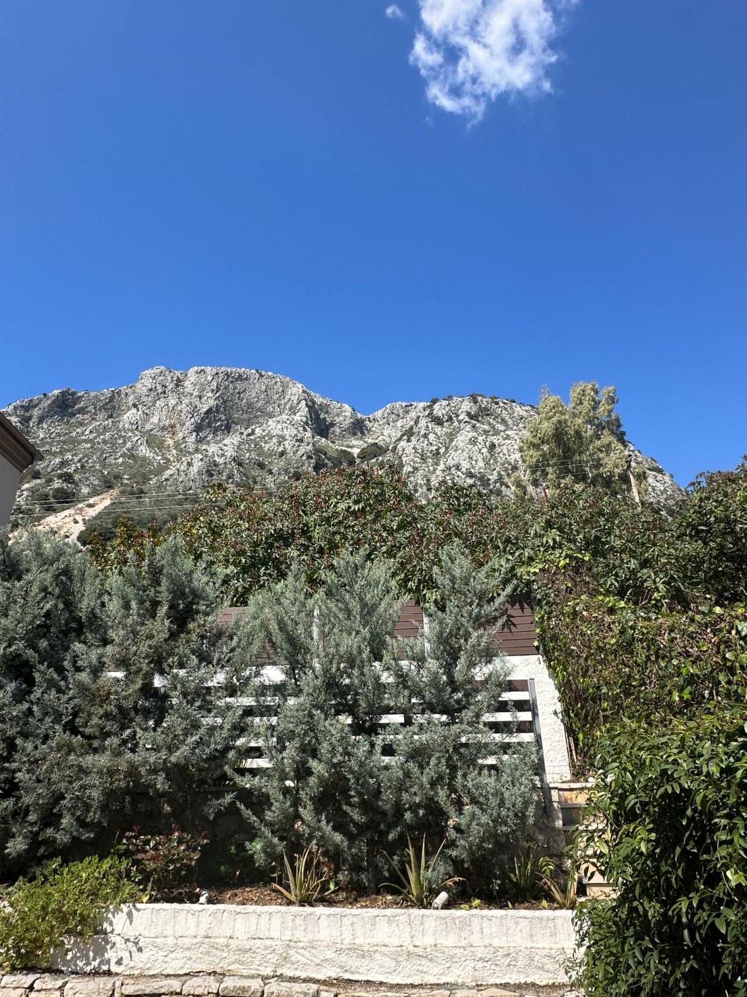 Vladimiros Apartments Barbati Bagian luar foto