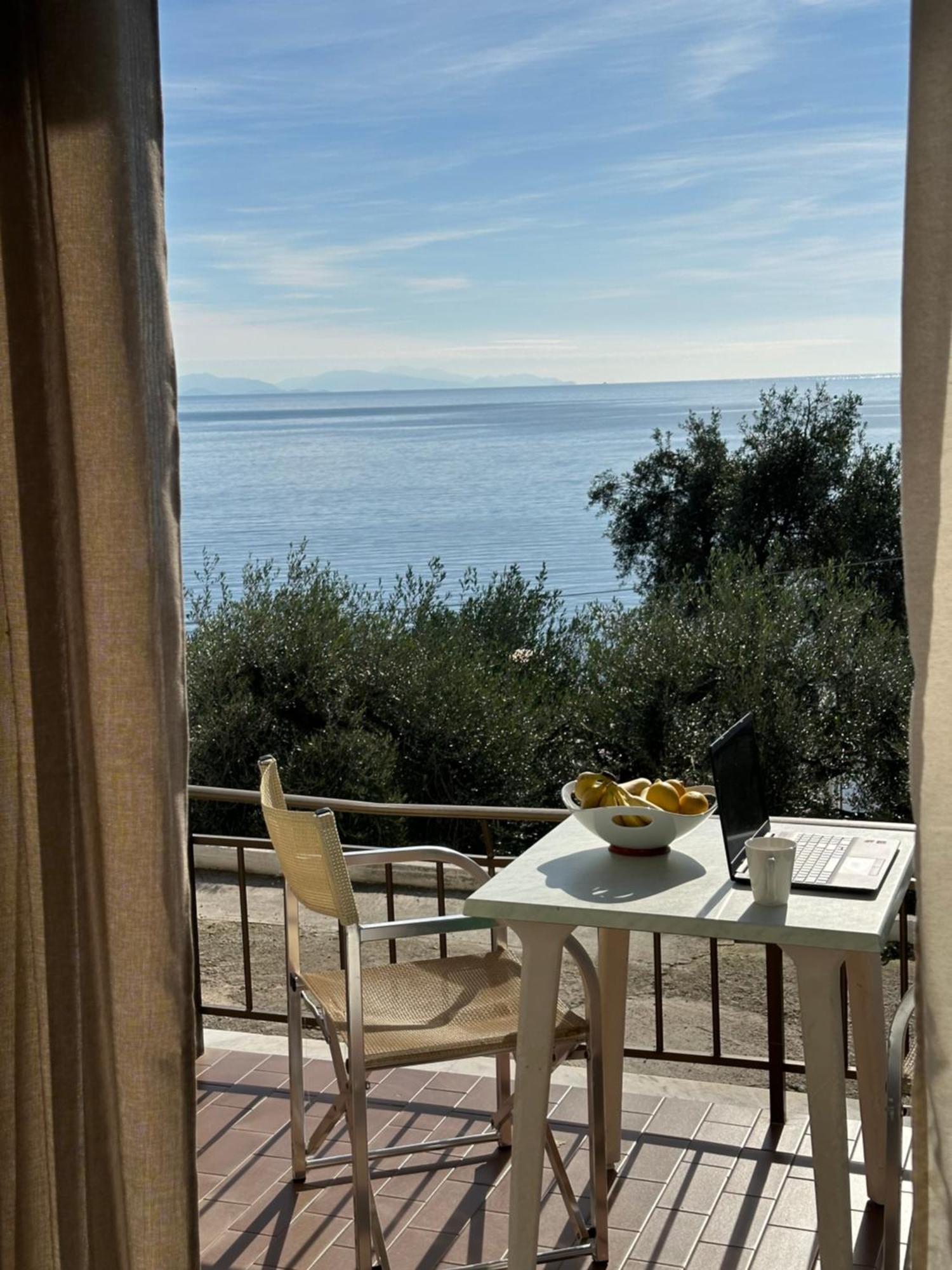 Vladimiros Apartments Barbati Bagian luar foto