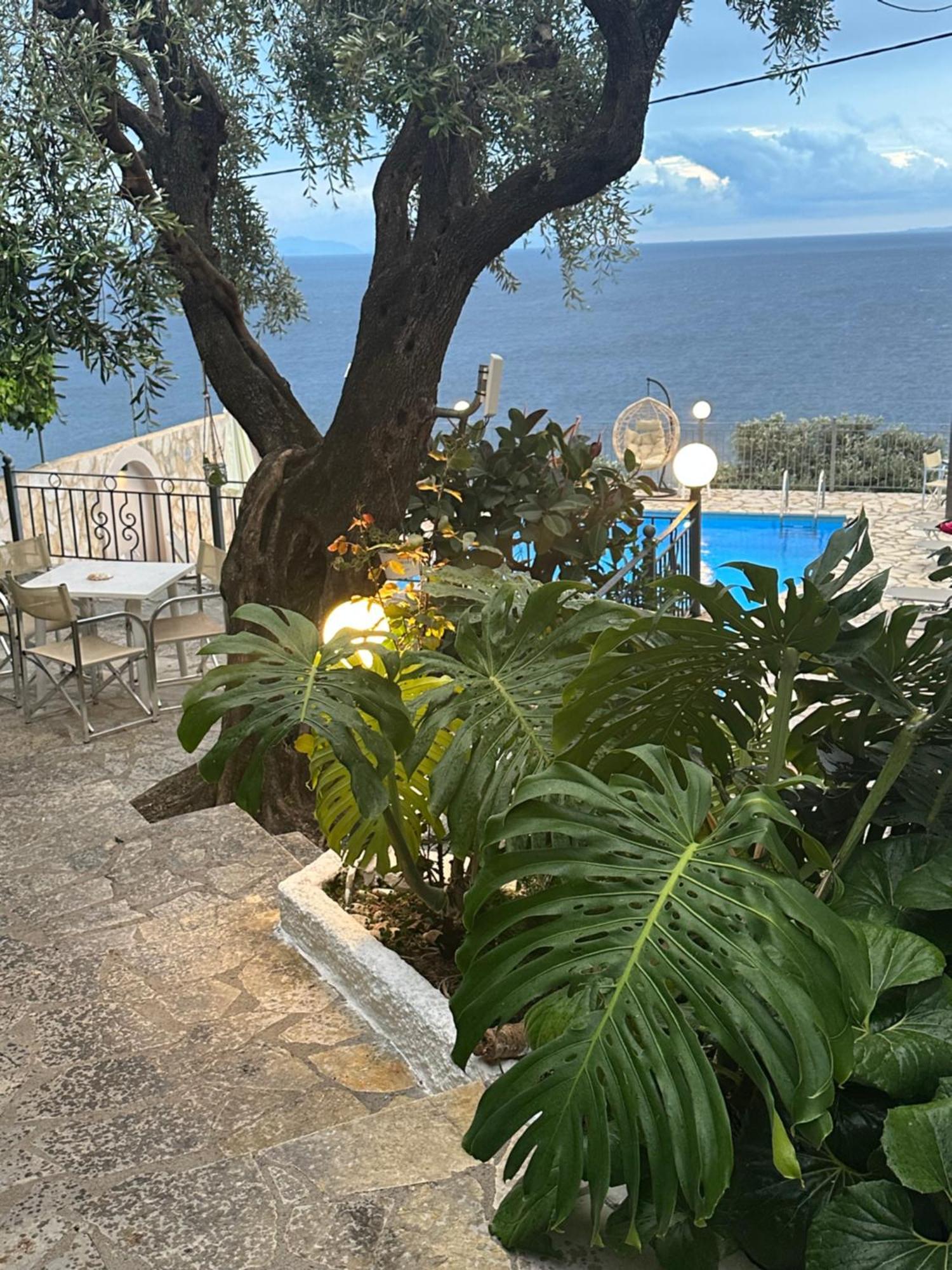 Vladimiros Apartments Barbati Bagian luar foto