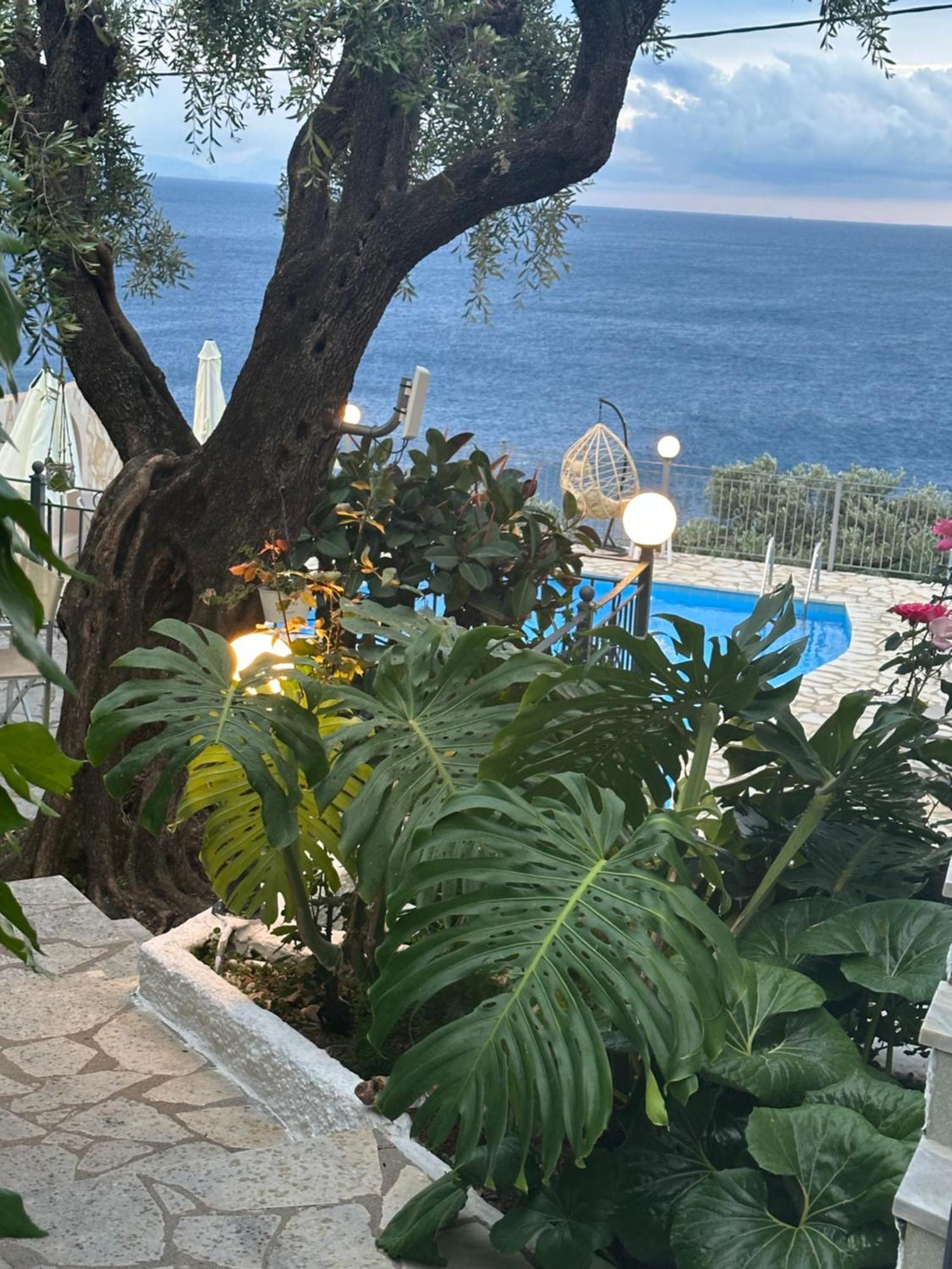 Vladimiros Apartments Barbati Bagian luar foto